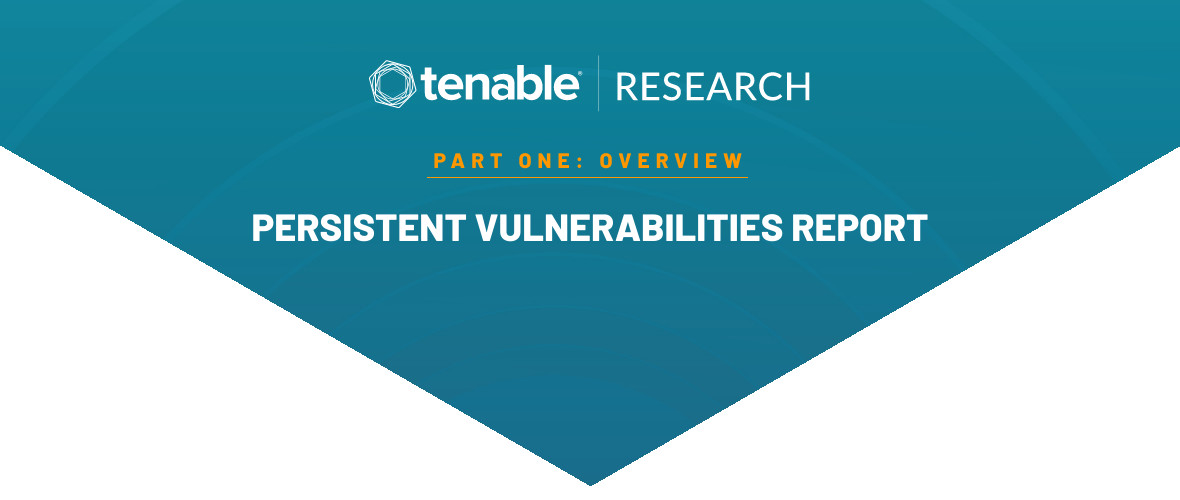 A Look at What Makes a Vulnerability Survive in the Remediation Race image